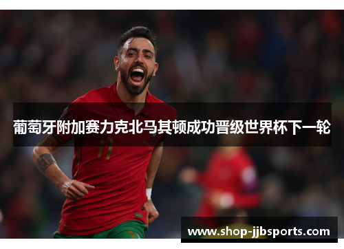 葡萄牙附加赛力克北马其顿成功晋级世界杯下一轮 葡萄牙附加赛力克北马其顿成功晋级世界杯下一轮